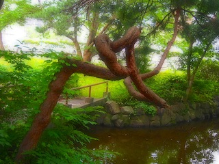 c0248013_11252966.jpg