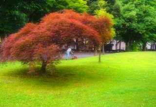 c0248013_1137287.jpg