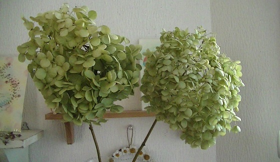 c0207719_135611.jpg