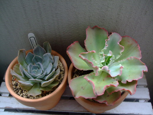 f0243726_11571431.jpg