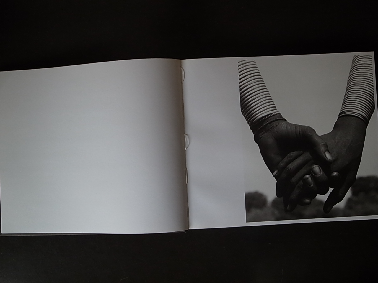 AFRICA / Herb Ritts : Books & Things