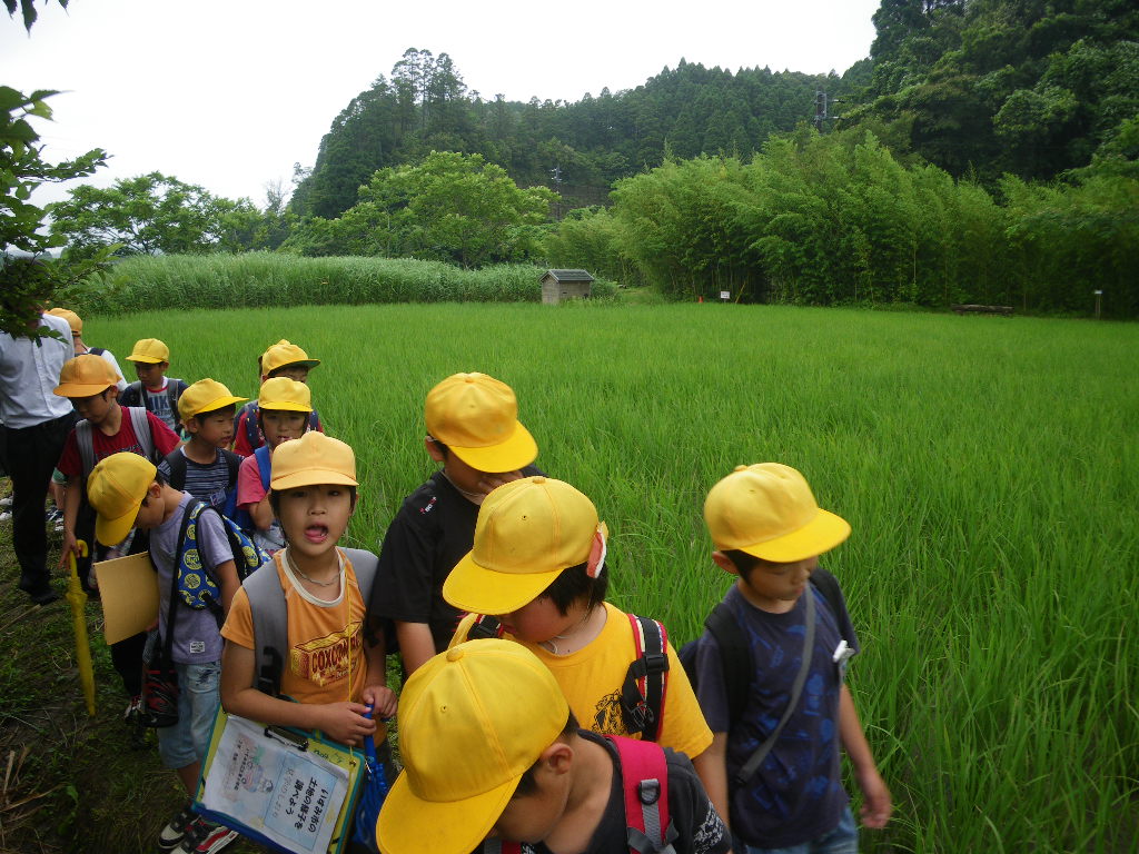 小学生の社会見学_a0123836_164172.jpg