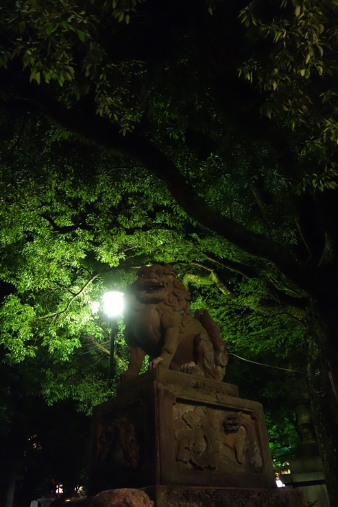 八坂神社～そうだ、京都へ行こう！その11_a0287336_21165740.jpg