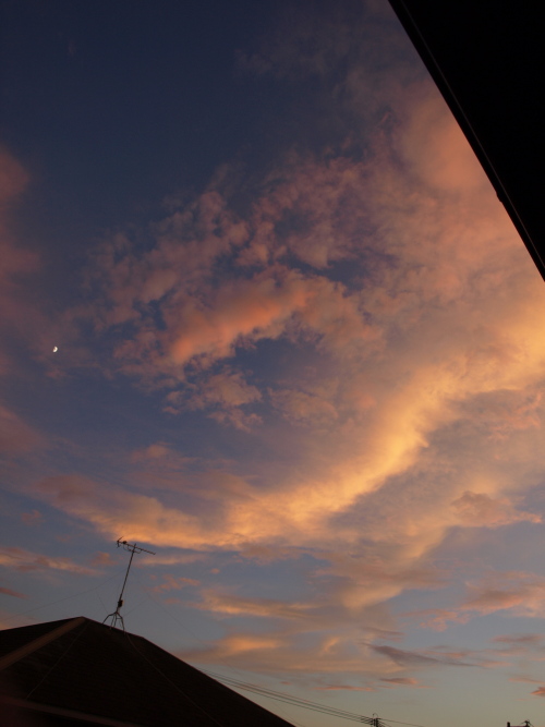c0281841_1326058.jpg