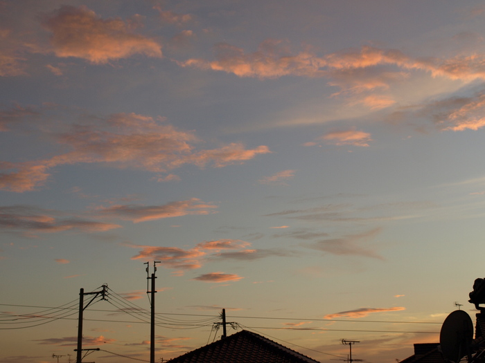 c0281841_13282873.jpg