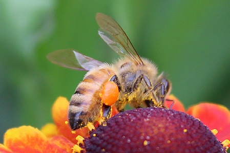 a0243143_19173640.jpg