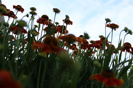 a0243143_19175043.jpg