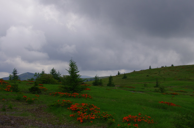 d0186245_3415039.jpg