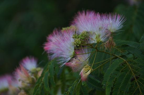 c0093046_7462890.jpg