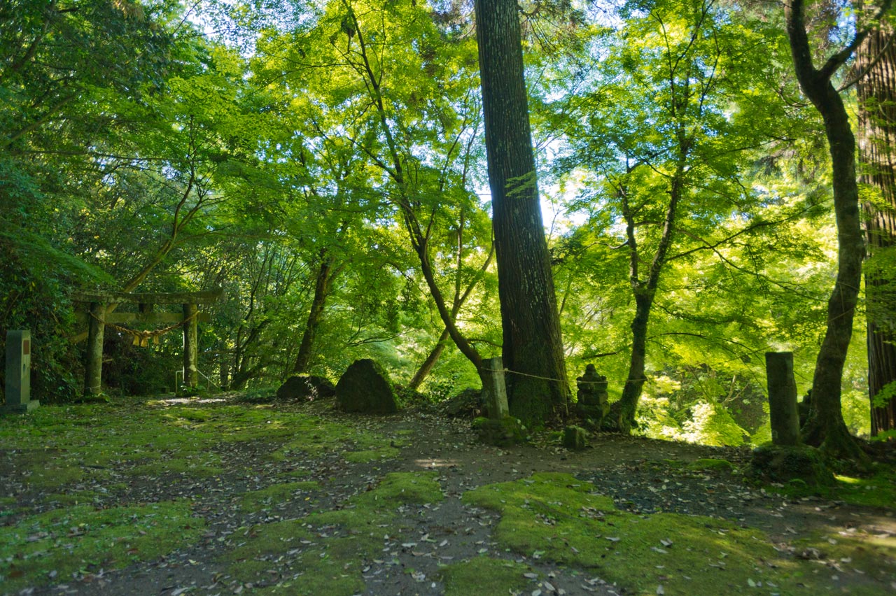 八女津媛神社　２　福岡県八女市矢部村_b0023047_4232447.jpg