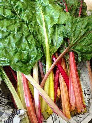 色々野菜が取れ始まりました_f0141347_18282951.jpg