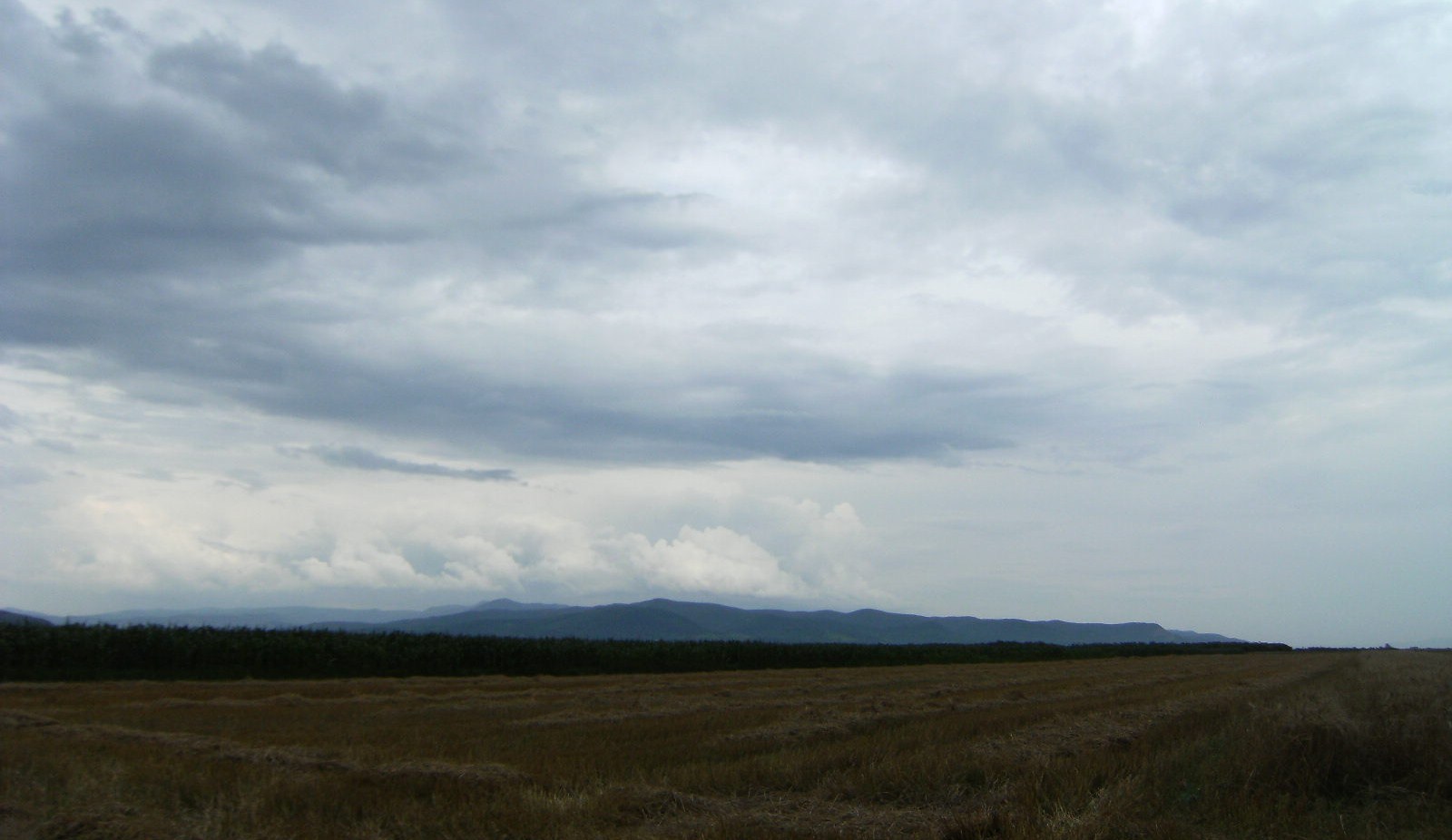 素朴でのどかな風景_f0286647_132478.jpg