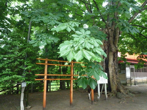 b0238249_21312563.jpg