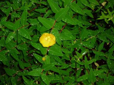 b0238249_21503232.jpg