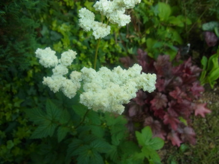 a0223650_8585588.jpg