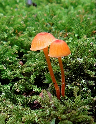 e0012055_226428.jpg