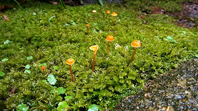 e0012055_227159.jpg