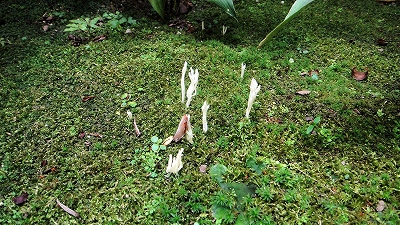 e0012055_2274183.jpg