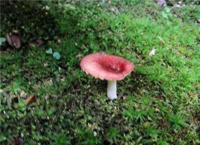 e0012055_2281599.jpg