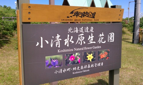 知床サイクリングツアー2_d0197762_18282624.jpg