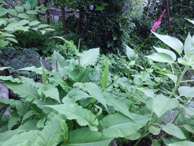 d0233866_23252100.jpg