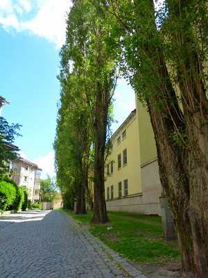 f0127967_1212793.jpg