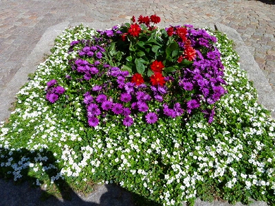f0127967_122013.jpg