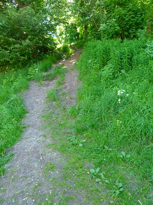f0127967_1224458.jpg