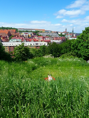 f0127967_1301286.jpg