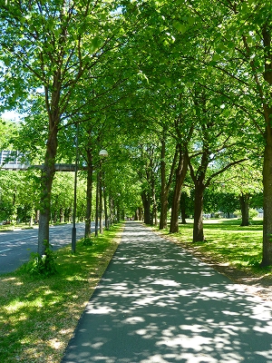 f0127967_1382461.jpg