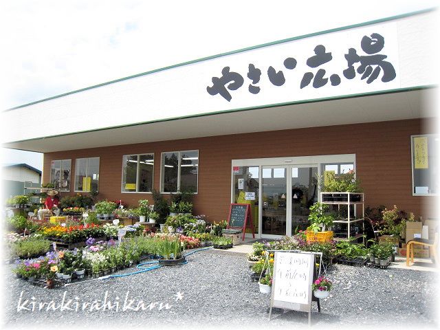 やさい広場 in 妻沼_e0173670_9131046.jpg