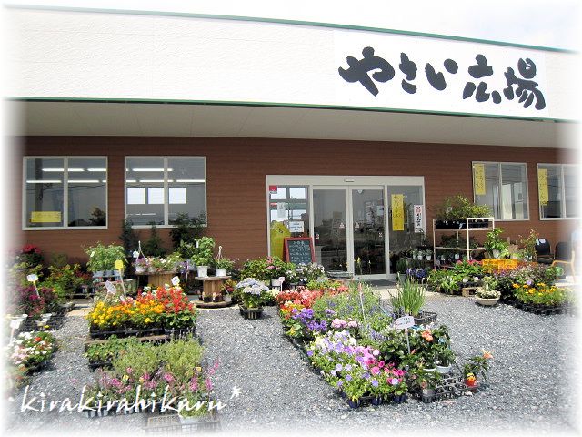 e0173670_9142157.jpg