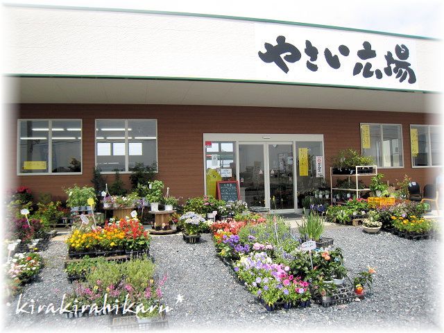 やさい広場 in 妻沼_e0173670_9142157.jpg