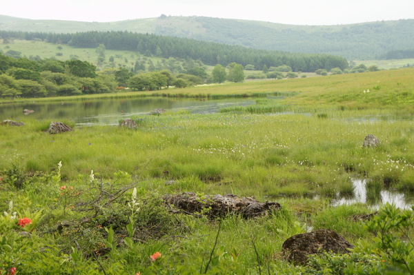 f0235376_2026342.jpg