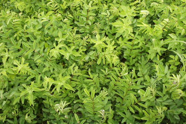 f0235376_20572043.jpg