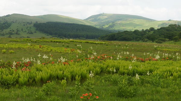 f0235376_21181118.jpg