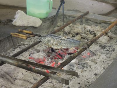 神奈川県道志川にて魚のつかみ取り体験_e0030586_1311243.jpg