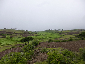 小値賀島+野崎島_e0066586_783048.jpg