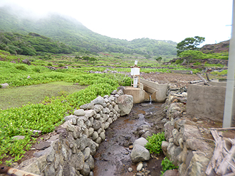 小値賀島+野崎島_e0066586_784667.jpg