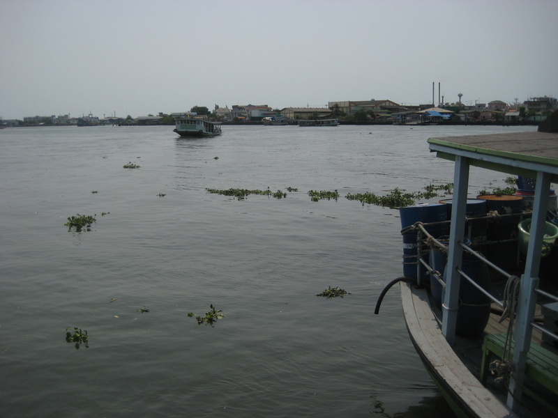 c0013687_23313146.jpg