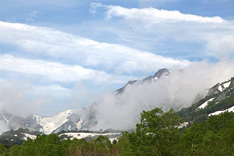 f0000789_1743443.jpg