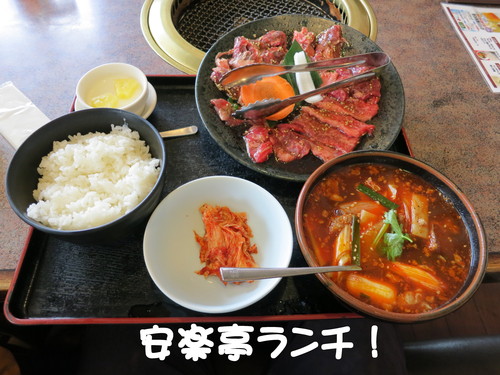 忙し過ぎて、管理の仕事があったら対応出来なかった。_b0200291_2281025.jpg