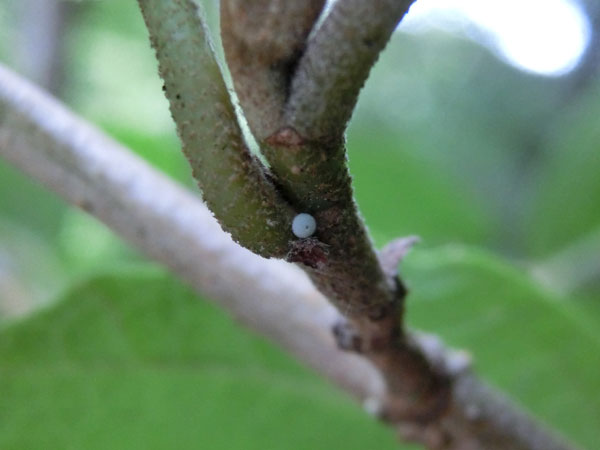 c0049095_22407100.jpg