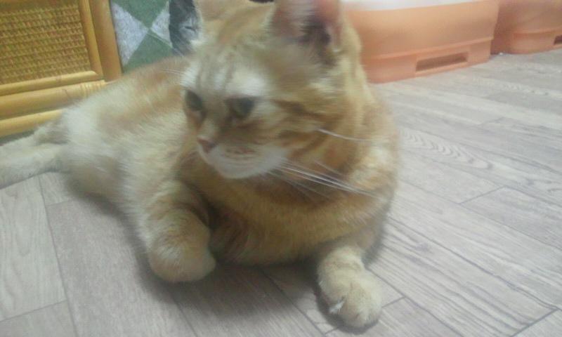 はじめまして!(ちゃこ)_f0242002_2011454.jpg