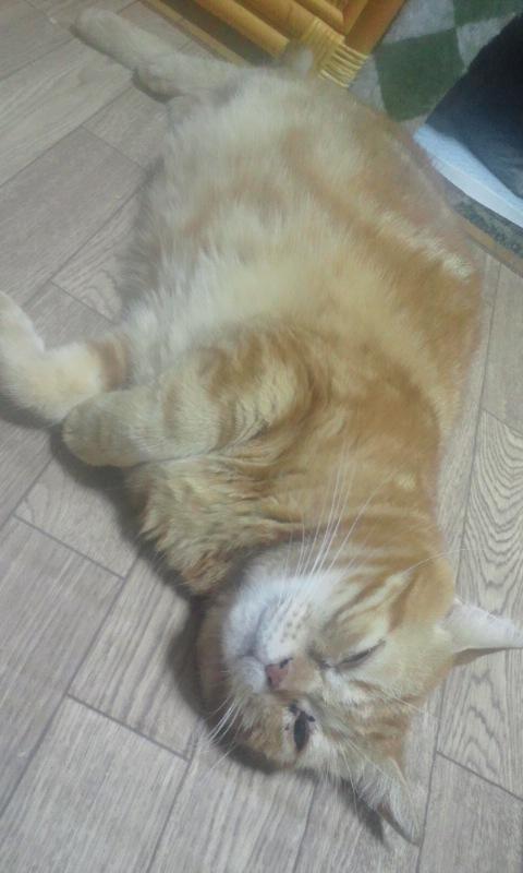 はじめまして!(ちゃこ)_f0242002_204450.jpg