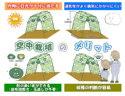 新居浜萩生の自然農園で吊りスイカ（スイカの空中栽培）…2013・7・5_f0231709_2234430.png