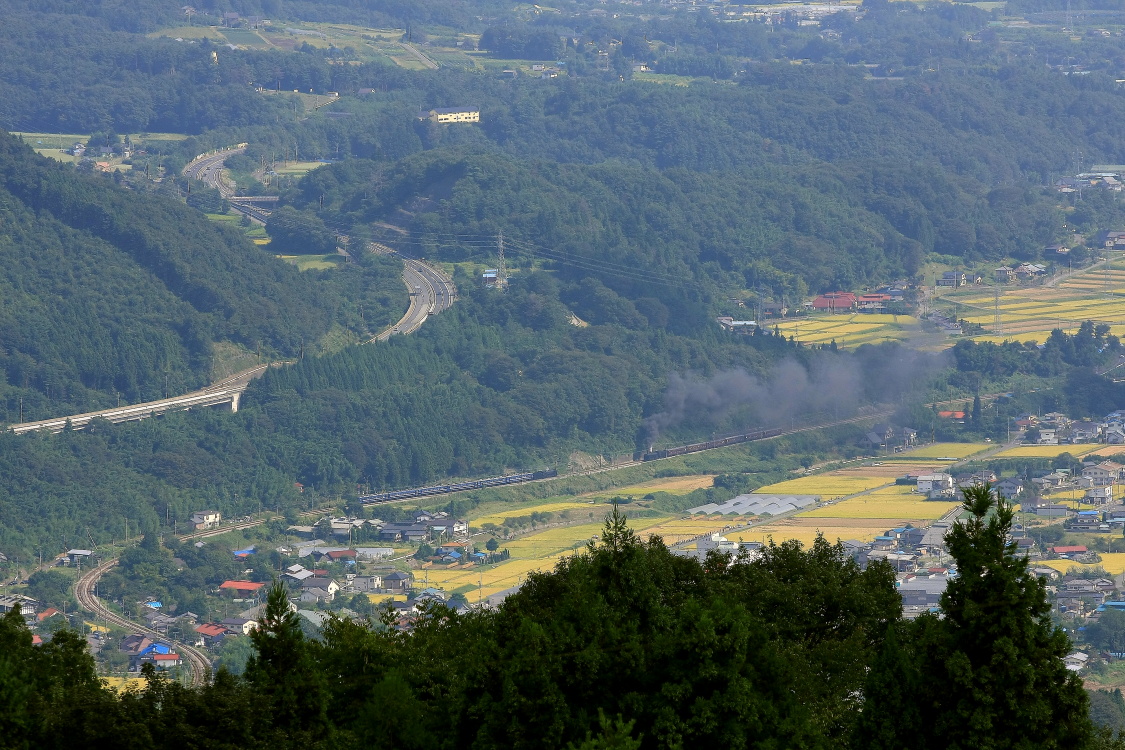 b0190710_784620.jpg