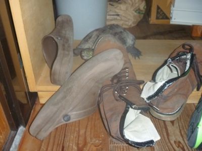 エヌテックスタッフ“かめ吉”の産卵_b0131012_2132668.jpg