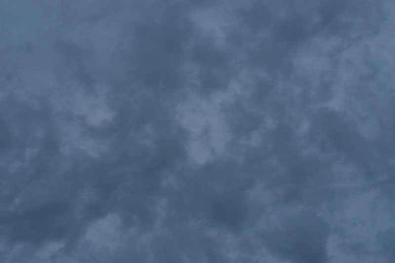 a0278914_519822.jpg