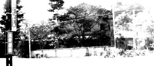 e0125014_1111327.jpg